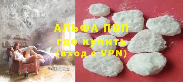 прущие грибы Нязепетровск