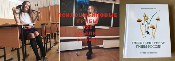 прущие грибы Нязепетровск