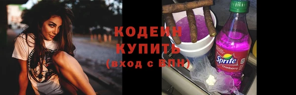 прущие грибы Нязепетровск