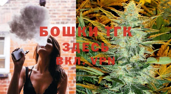 прущие грибы Нязепетровск