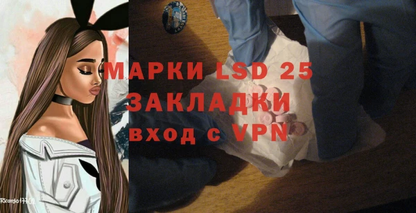 стафф Новозыбков