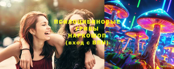 стафф Новозыбков