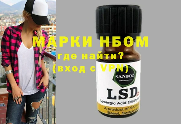 стафф Новозыбков