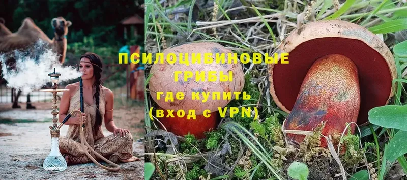 Псилоцибиновые грибы Magic Shrooms  Козьмодемьянск 