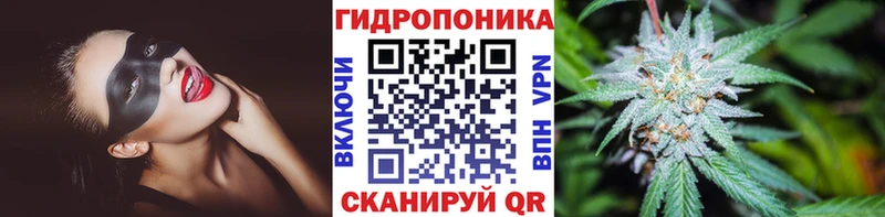 Конопля THC 21%  Козьмодемьянск 